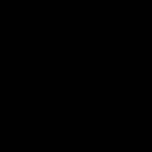 Meet your Posher, Lola